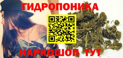 дживик Нальчик