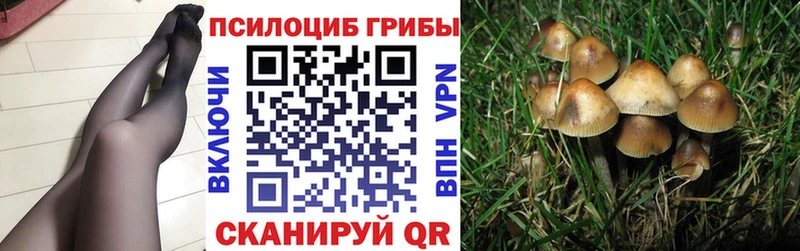 Галлюциногенные грибы мицелий  гидра рабочий сайт  Серов 