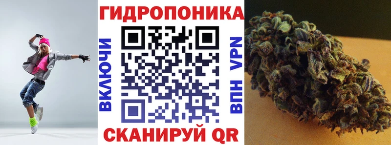 Каннабис сатива  дарнет шоп  Серов 